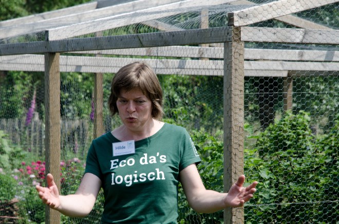 veltecotuin_hilde-1-128