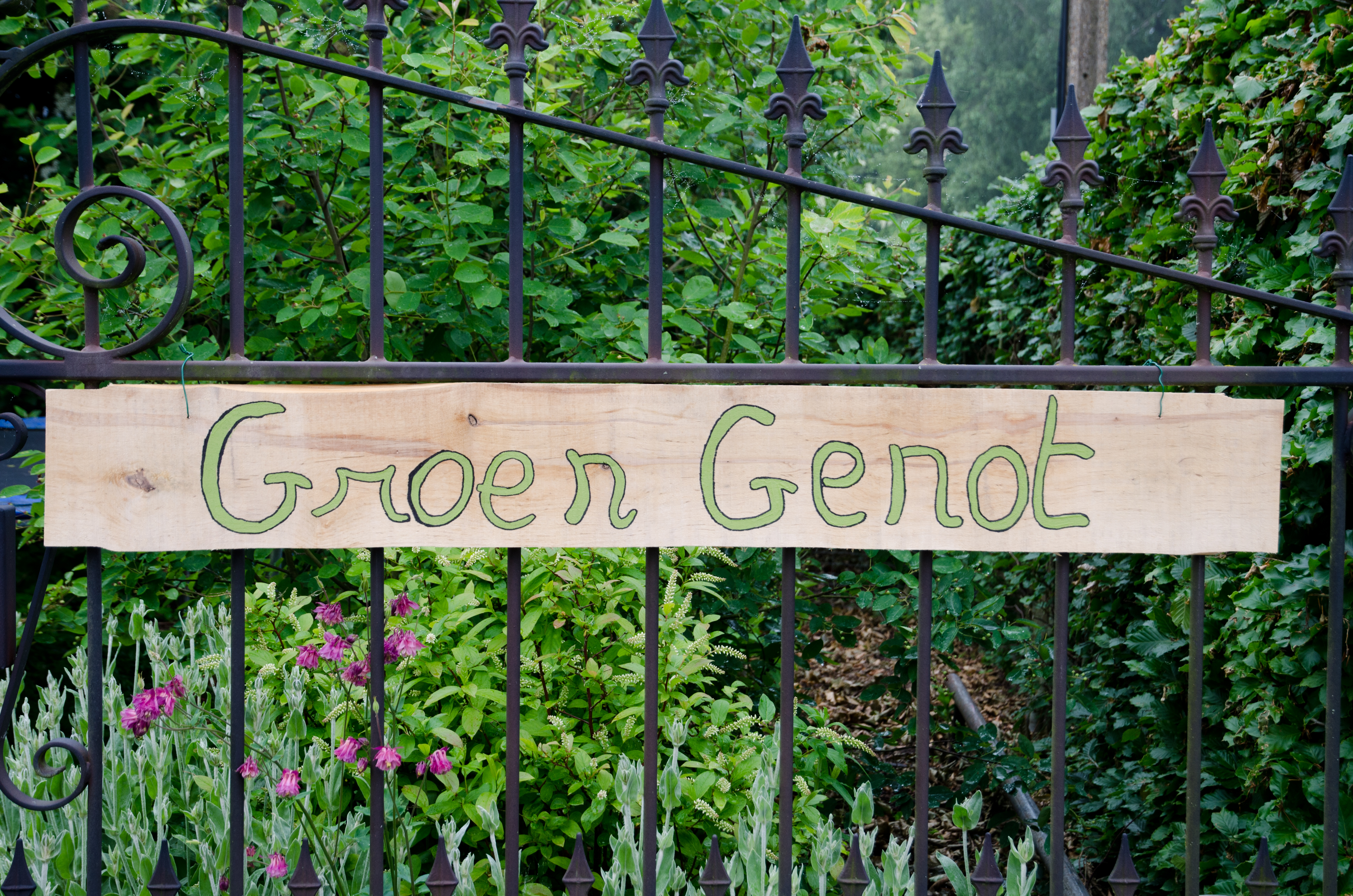 veltecotuin_hilde-1-59