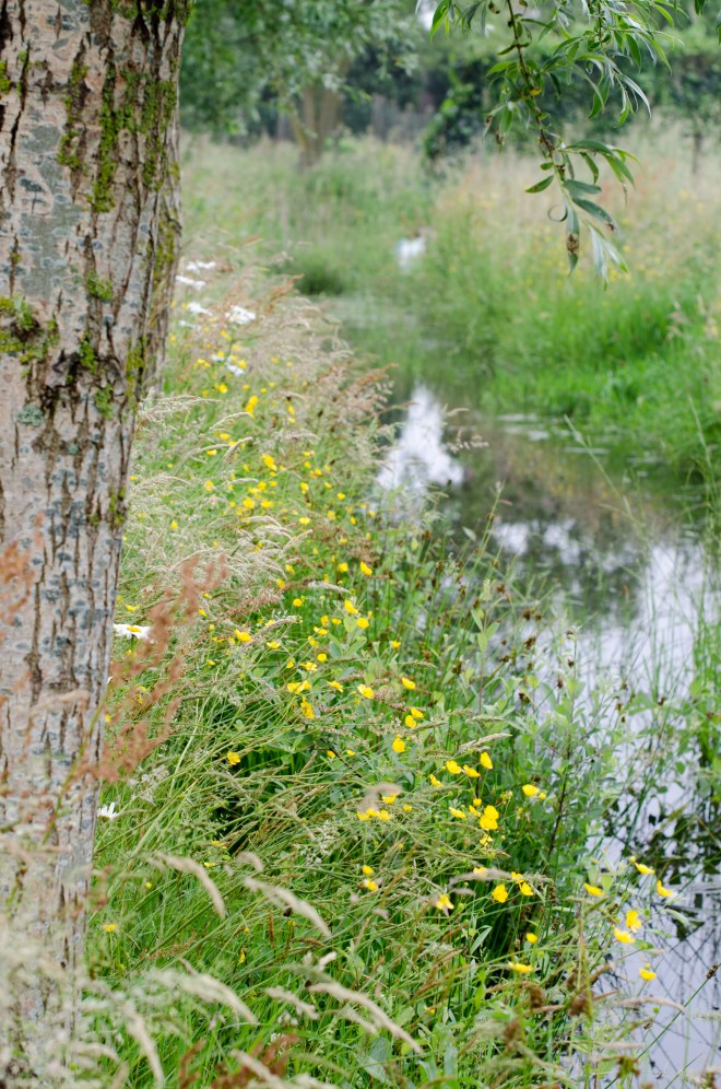 veltecotuin_hilde-1-49