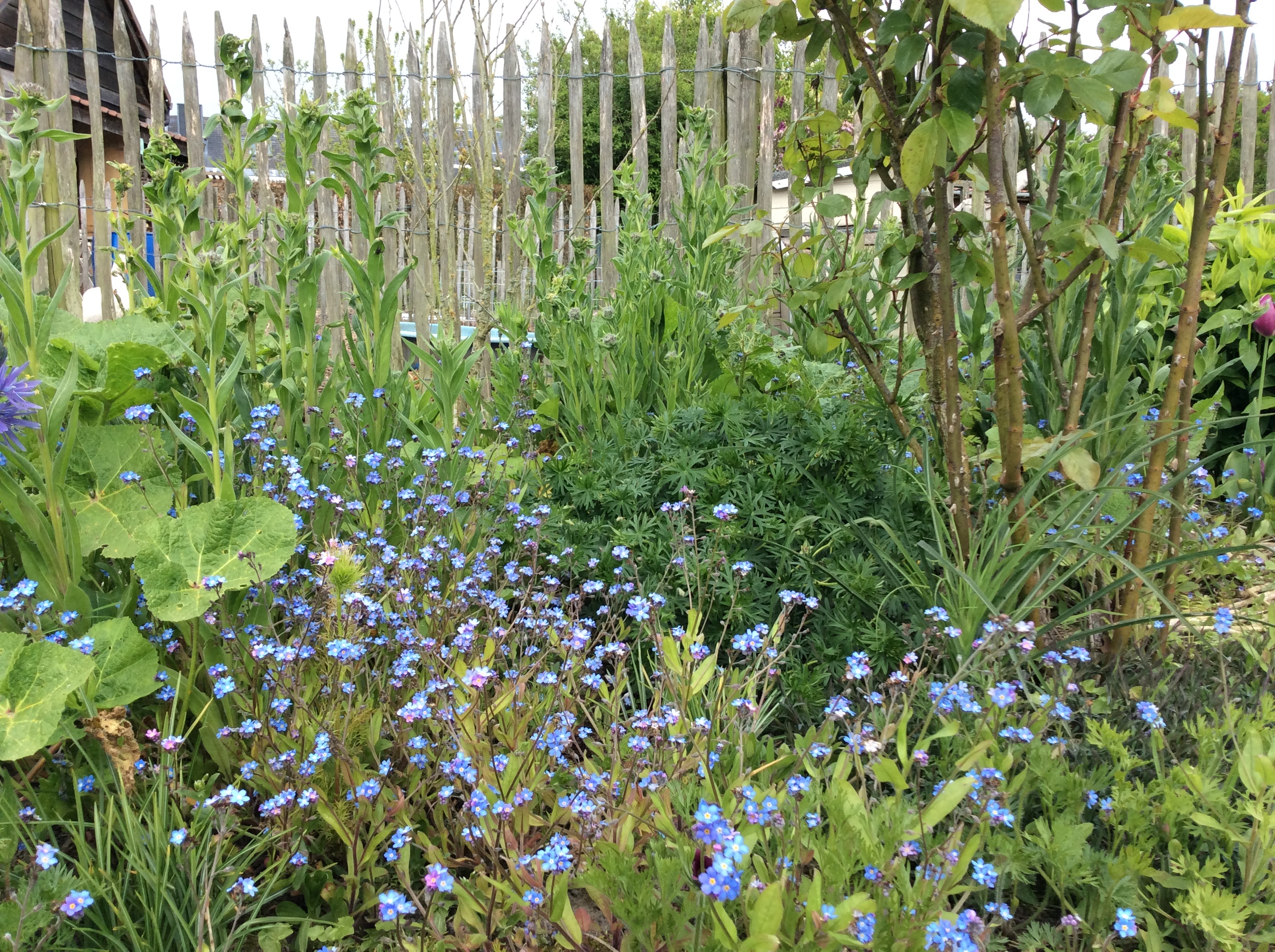 B87B3CF3-C967-4D7C-832B-38B8FFB9EB51