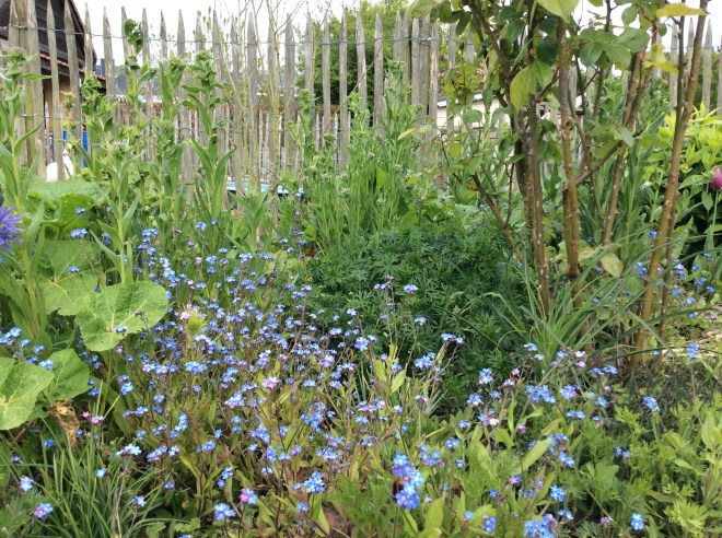 B87B3CF3-C967-4D7C-832B-38B8FFB9EB51