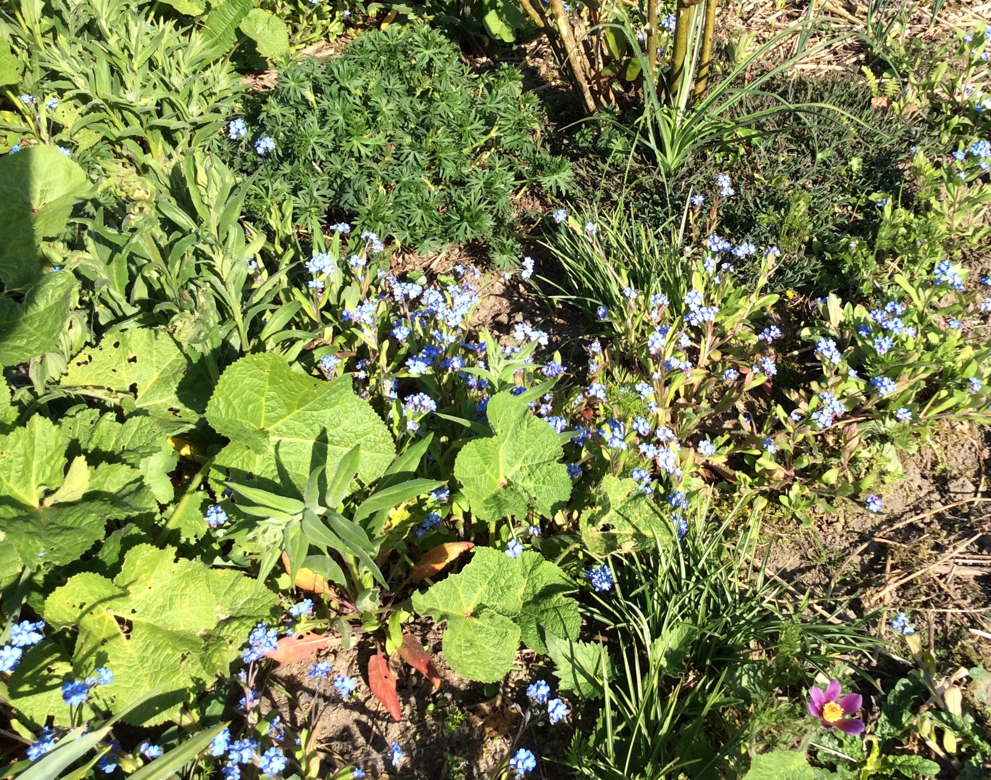 BDA0A94C-C0D4-4A08-9A9F-75AC11443F52