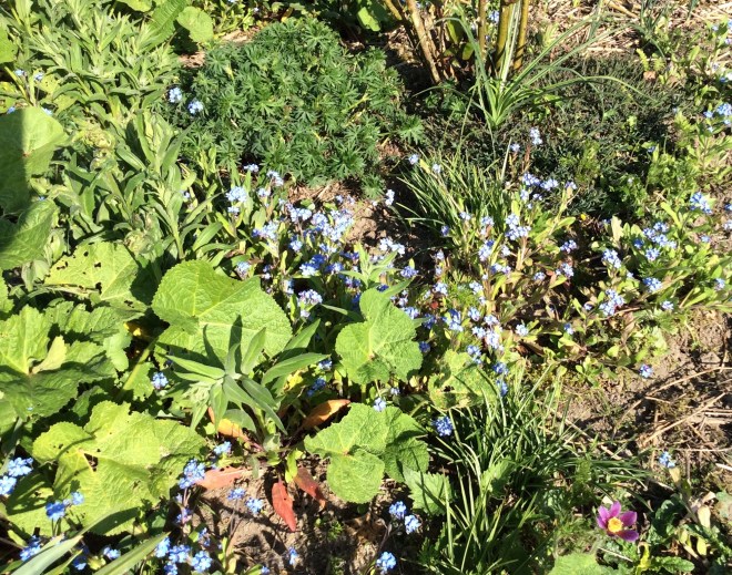 BDA0A94C-C0D4-4A08-9A9F-75AC11443F52