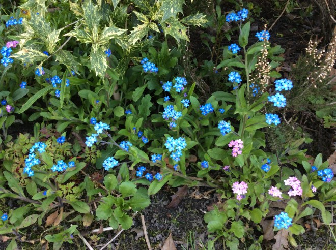 D720C76A-2D26-4BFC-B2DD-F75A17AA2C0E