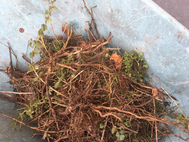 279E98C8-836D-45E7-B131-FCB640F19D86