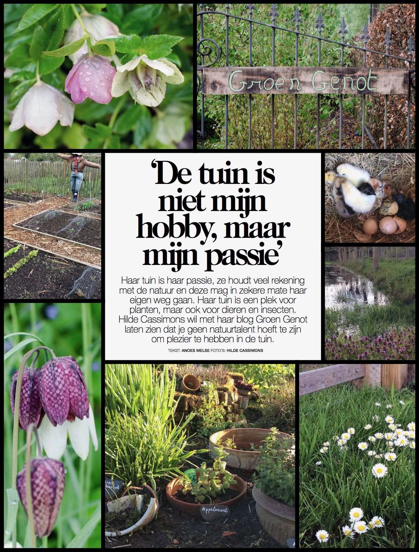 50D1294A-6CD2-48B6-8460-B1A5A65A4D2C