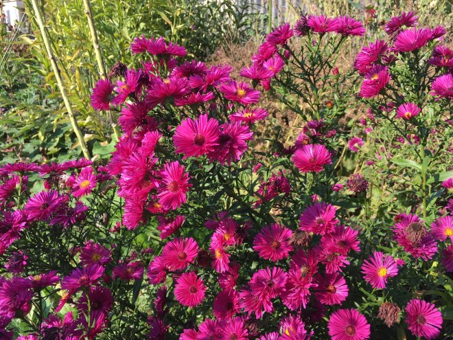 7D0A8FC4-0732-4E19-B152-7A4AA8AD3F4C