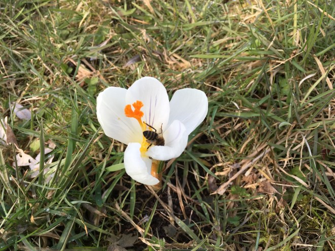 80C84014-2CA2-4353-9558-3C41966FBF7C