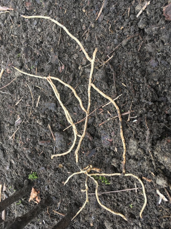 A9324291-D19F-4797-90C4-00ABABAFE79D