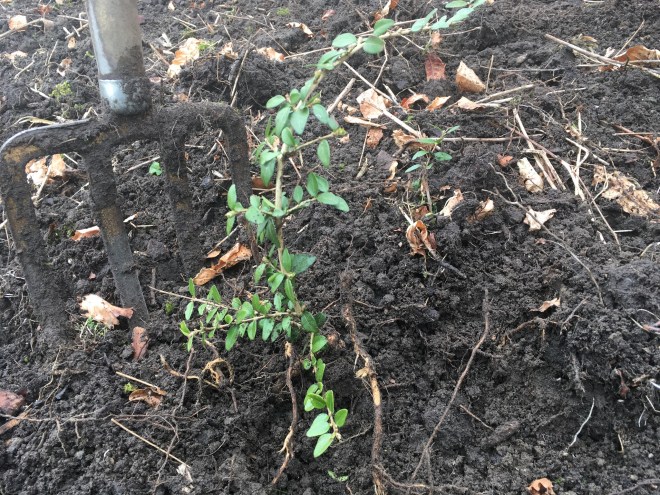 B6AE6CAE-E036-47EC-A0FF-BD69ECEEE45F