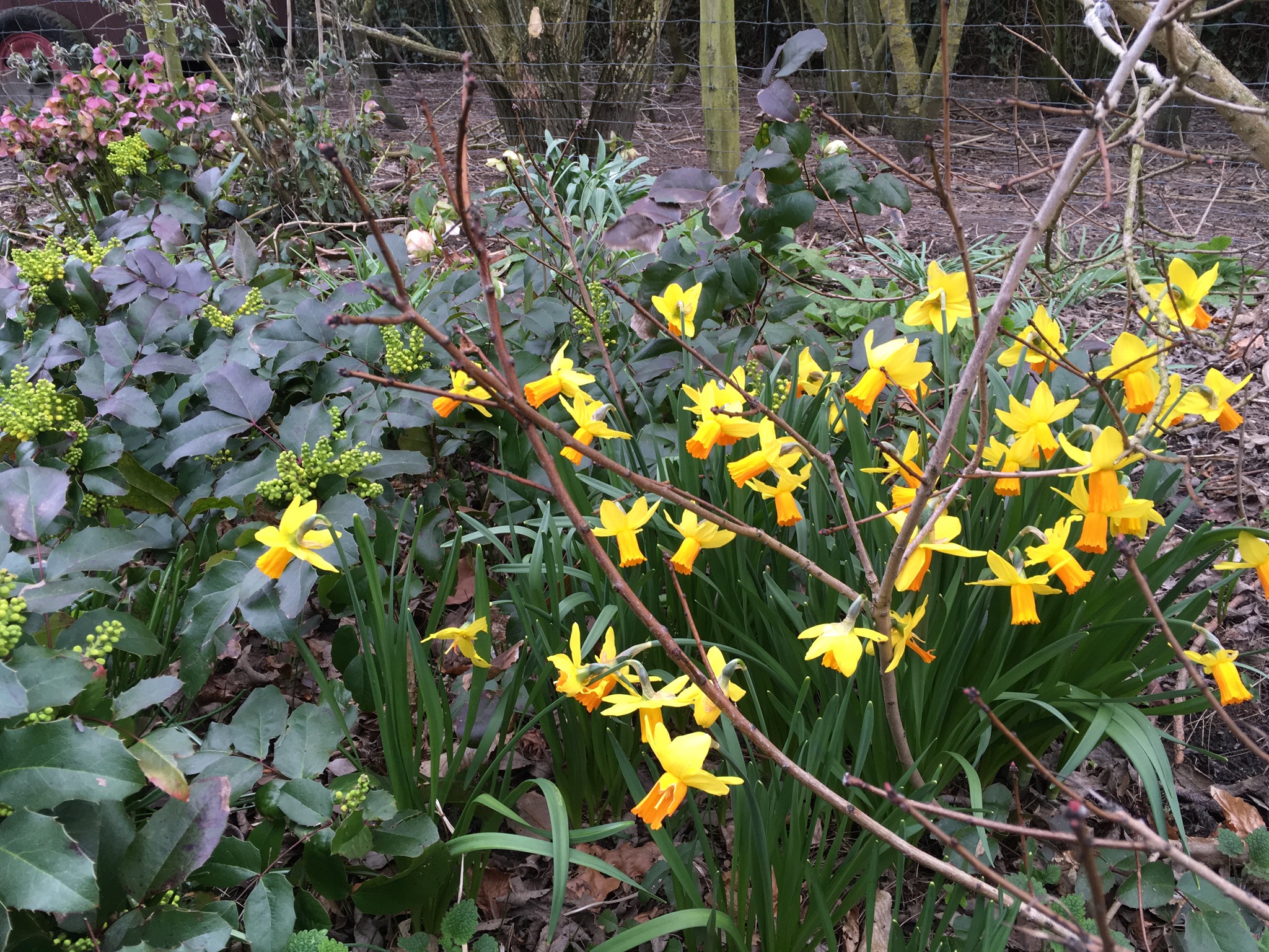 BBEFC739-3119-4F10-BBB6-DA4DB1A1FEFE