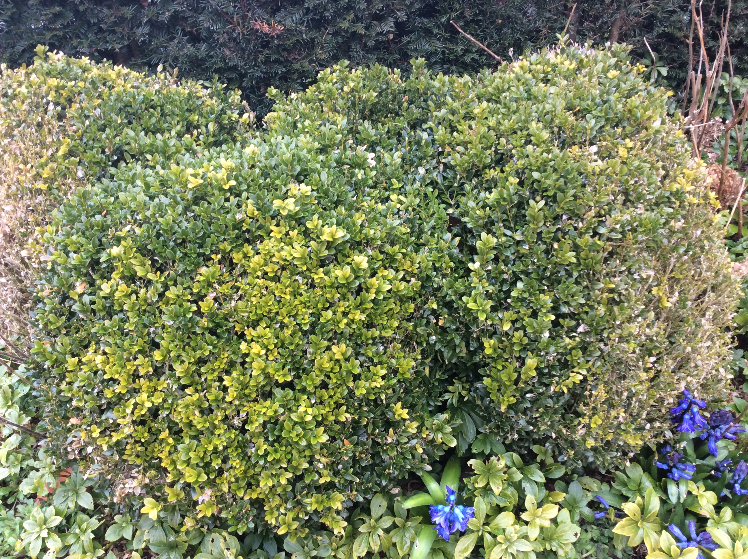 F5C98223-6D1C-4818-B80A-F6FBCDB19098