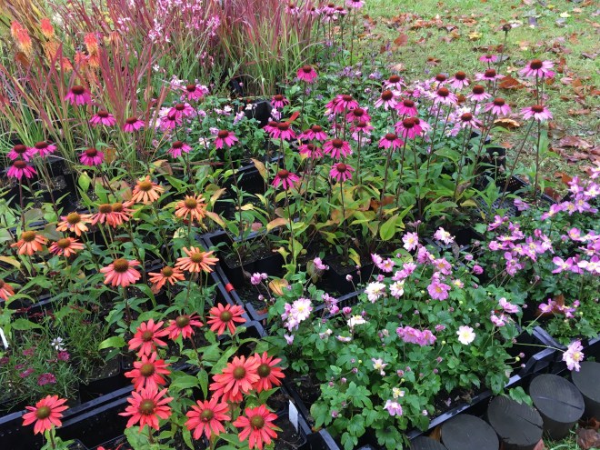 F8811160-8FEE-4309-B60B-F84ADF4EFA23