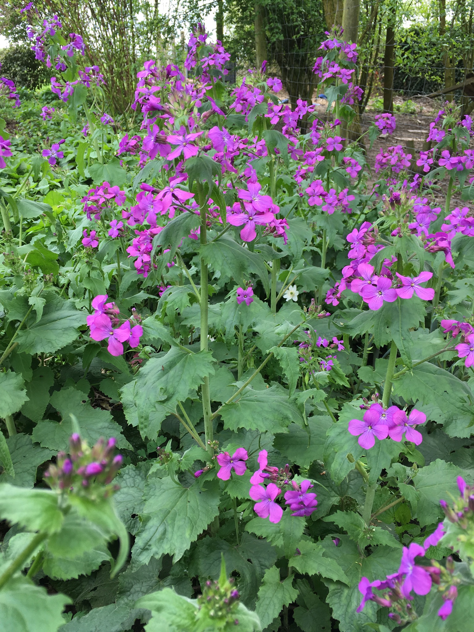 1DD07BA3-B3DE-4260-9C4A-98315B498797