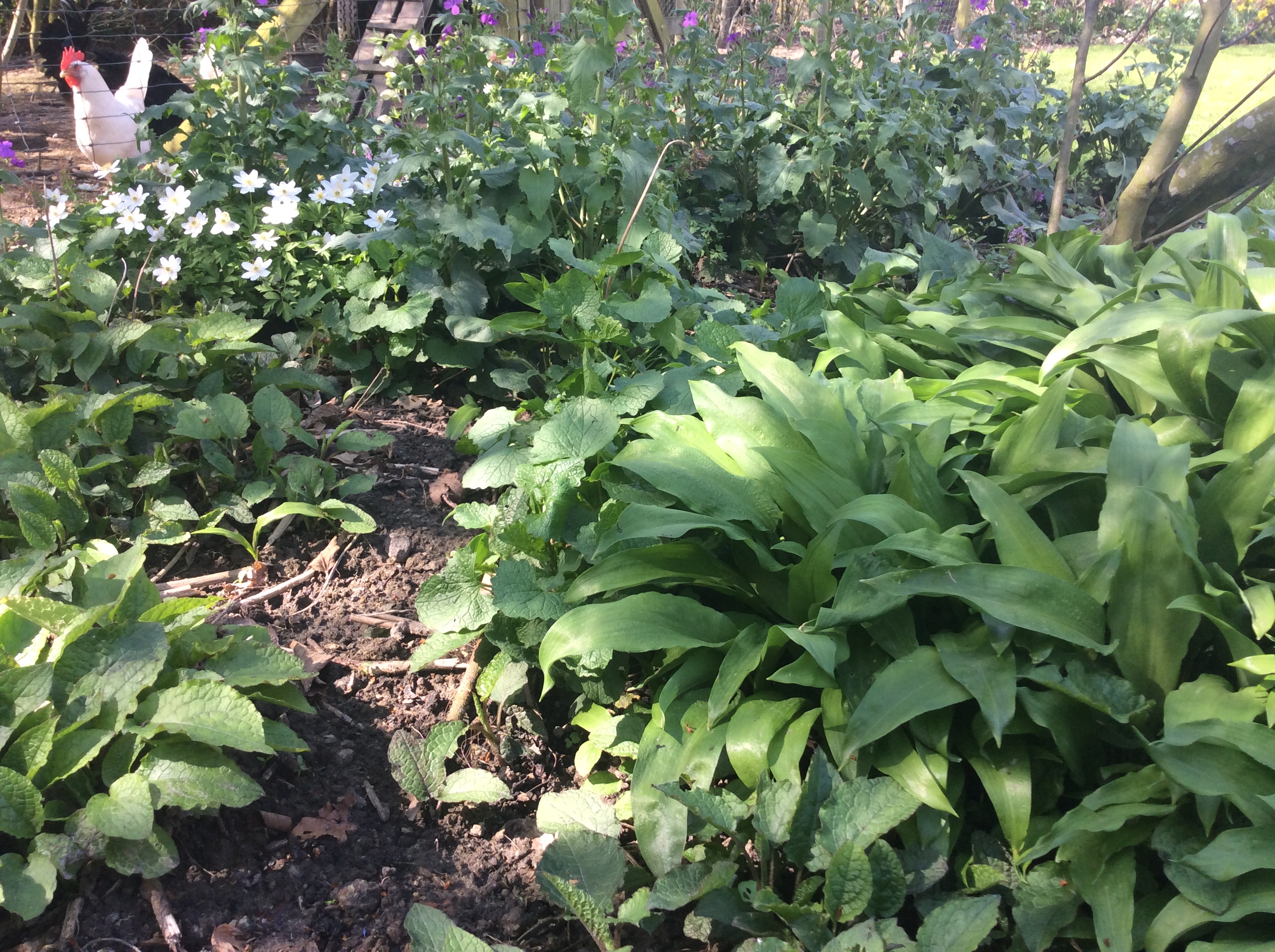 2DFDE3FD-C4F7-4EFE-B860-3C75A66C5CC4