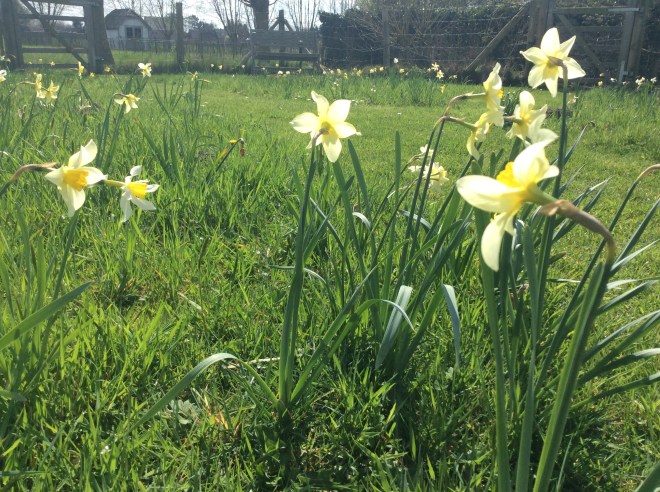 33D22233-5491-4A02-BED2-42FFACB55F43