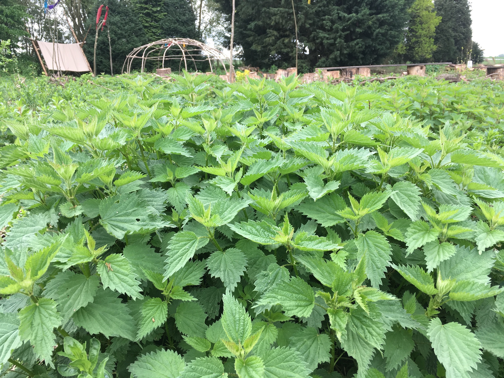 3C3AC7A8-9702-4490-B44F-500D22EB2601