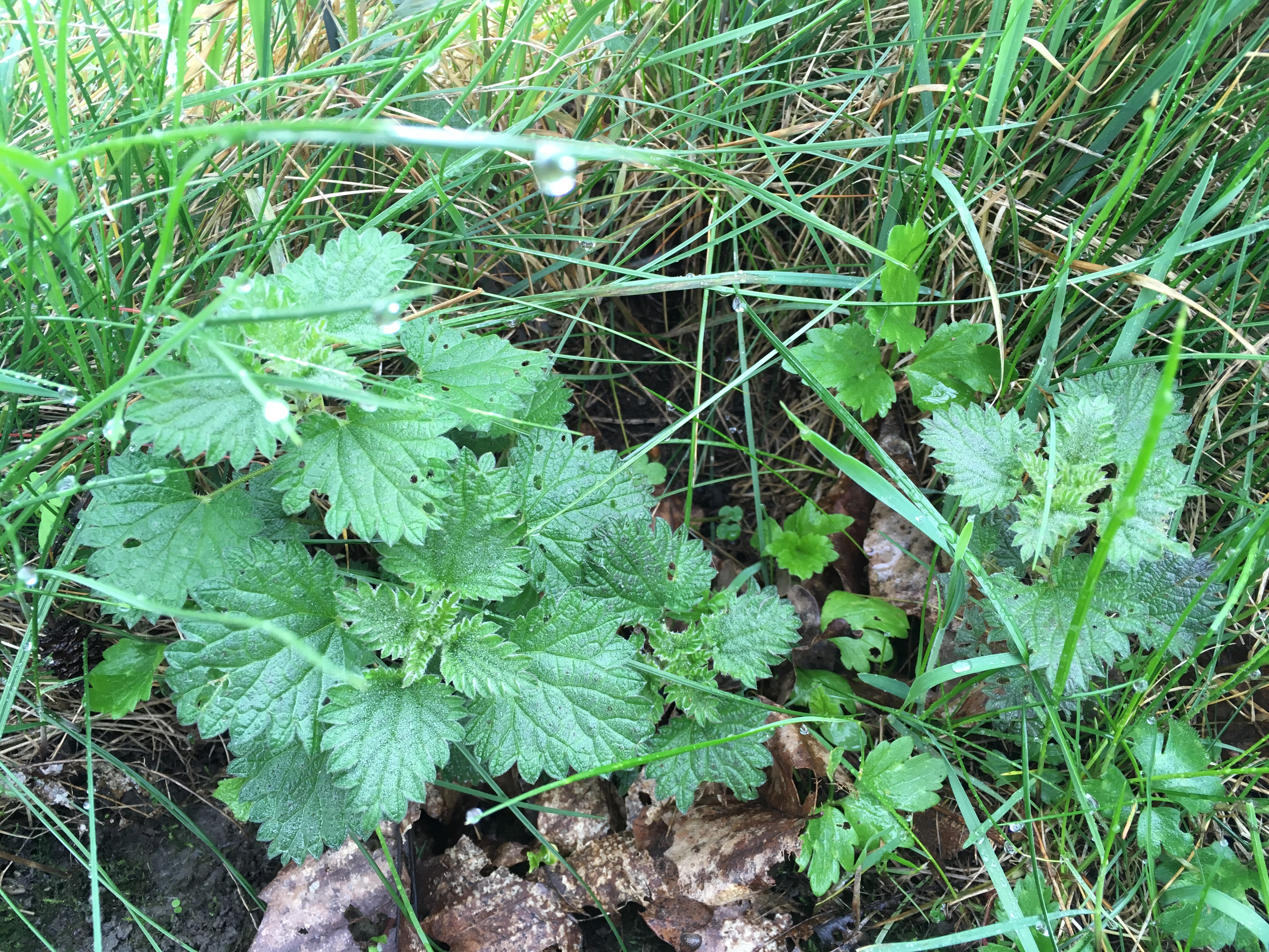 4730C8D6-7315-47CB-AD81-F15E00C8F627