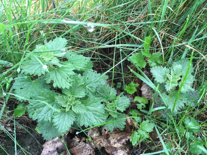 4730C8D6-7315-47CB-AD81-F15E00C8F627