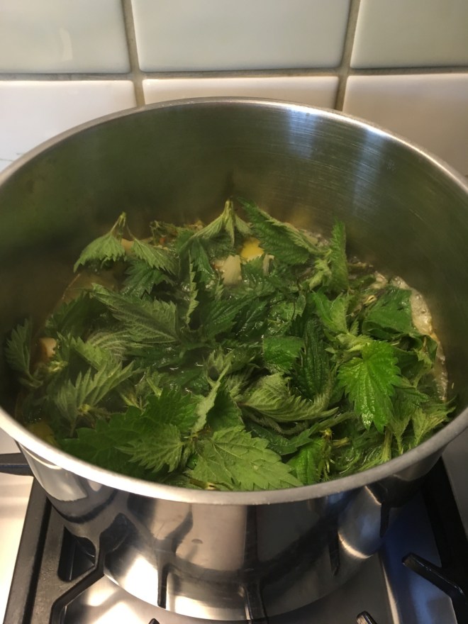 6063E7F7-74FF-4A22-A685-824953AC816F