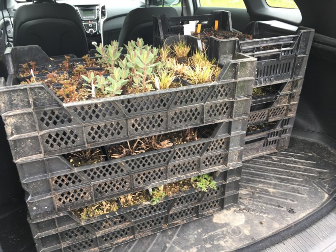 6708FEB0-2746-4CA6-A296-CC46B7CC800F