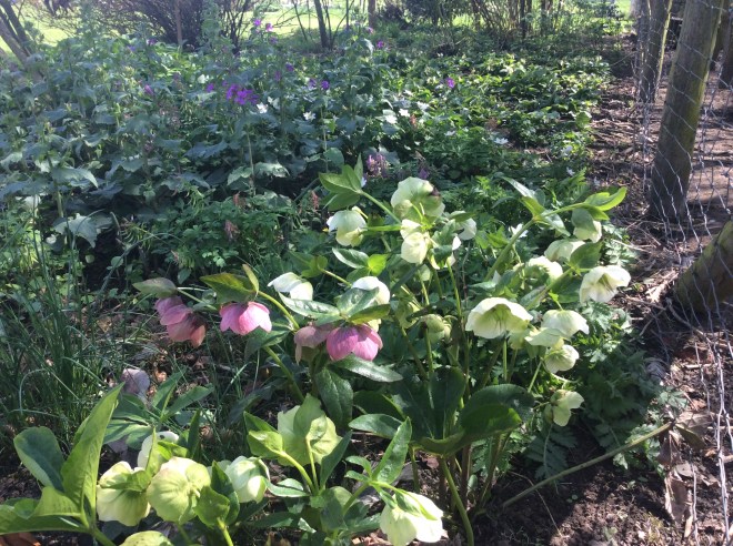 9342CA88-F709-454C-ACE7-48EB2BD72433