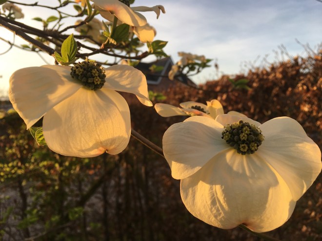 CD7D21FD-EA42-41A7-9EC6-11B79CFA5319