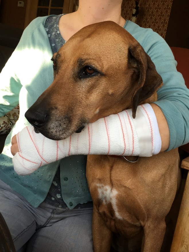 D119326B-FD53-4538-933A-C4F6A87AEE9F