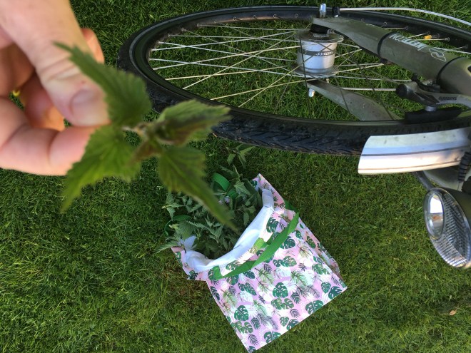 FF771267-D1A9-4271-B2CF-D85D93B0C3A2