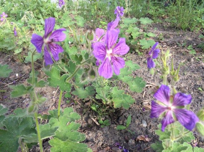 0023DC19-AC96-461D-8284-0469D665DC81