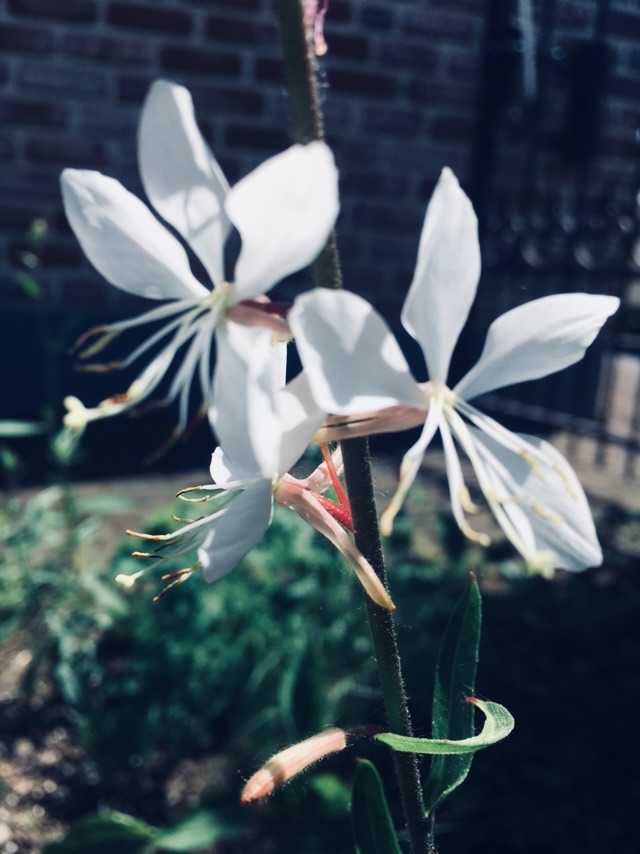 8A64E032-EC2E-4C3E-926C-4B4C33216DC5