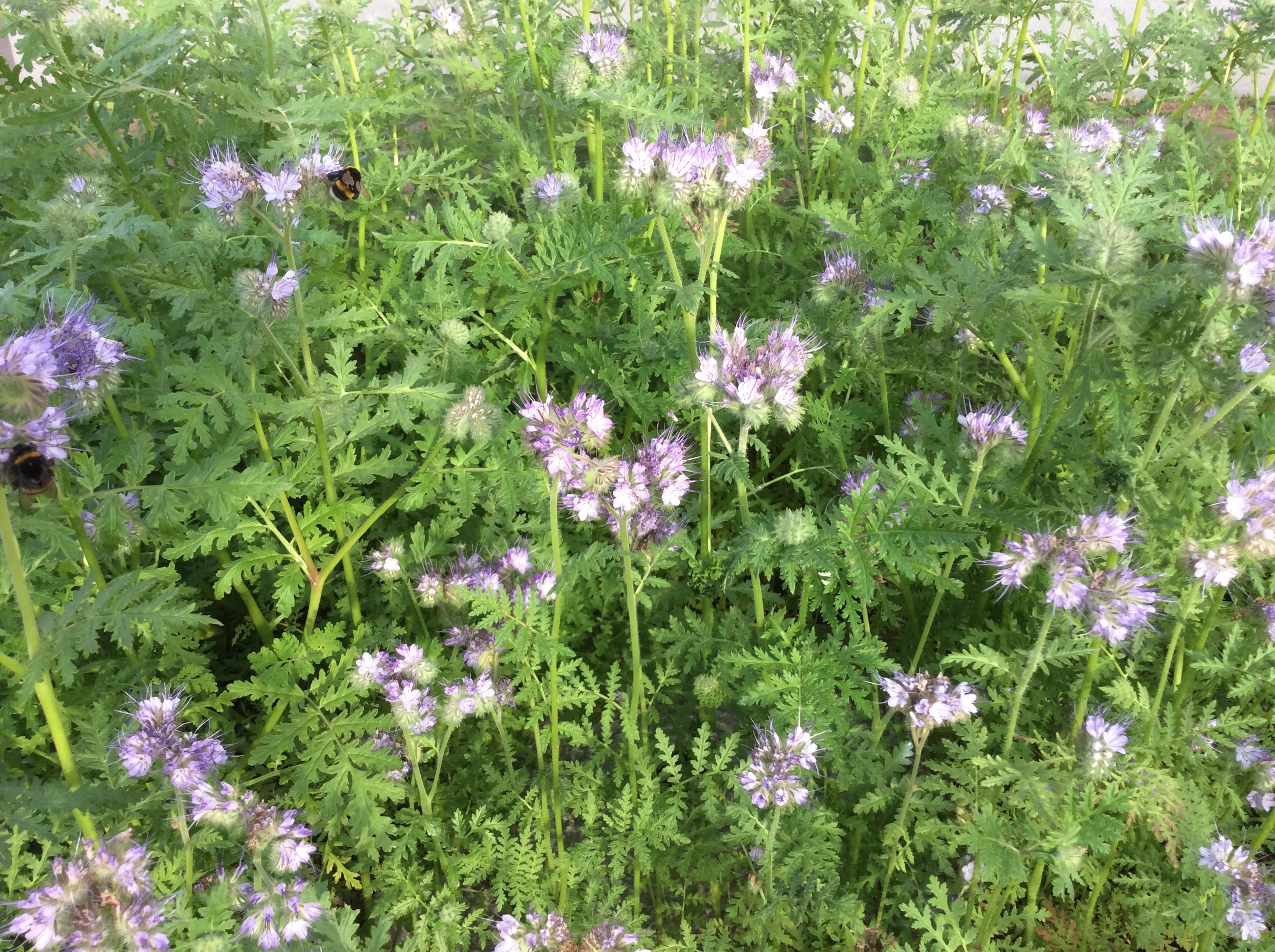 9DFEA2EF-B382-4750-BAB4-BCA21ADEEF18