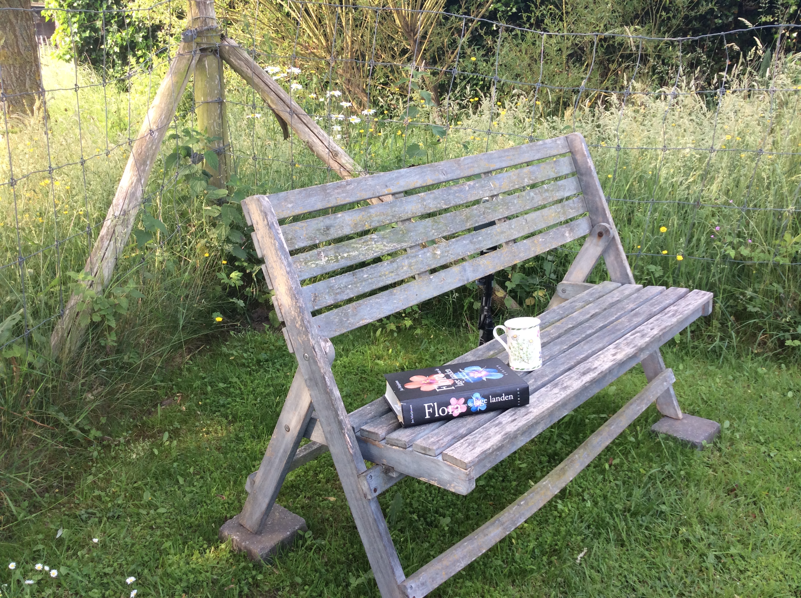 C2FB1E11-FBEE-471D-9AA0-C53F3B8A57AA