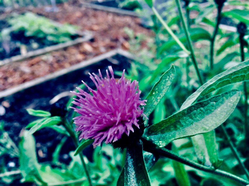 02B2FF12-DA13-4DC7-8D55-E5575DDD908C