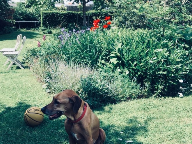 4E690E48-FC31-4B03-8FD6-2FAE2BB57837