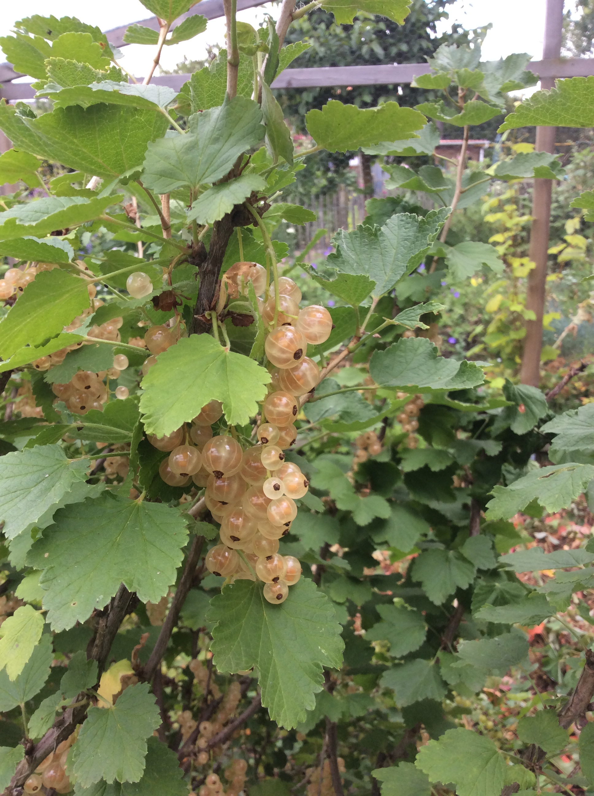 4F8CE8E9-A028-4DB9-9578-2C5A3DDE3D80