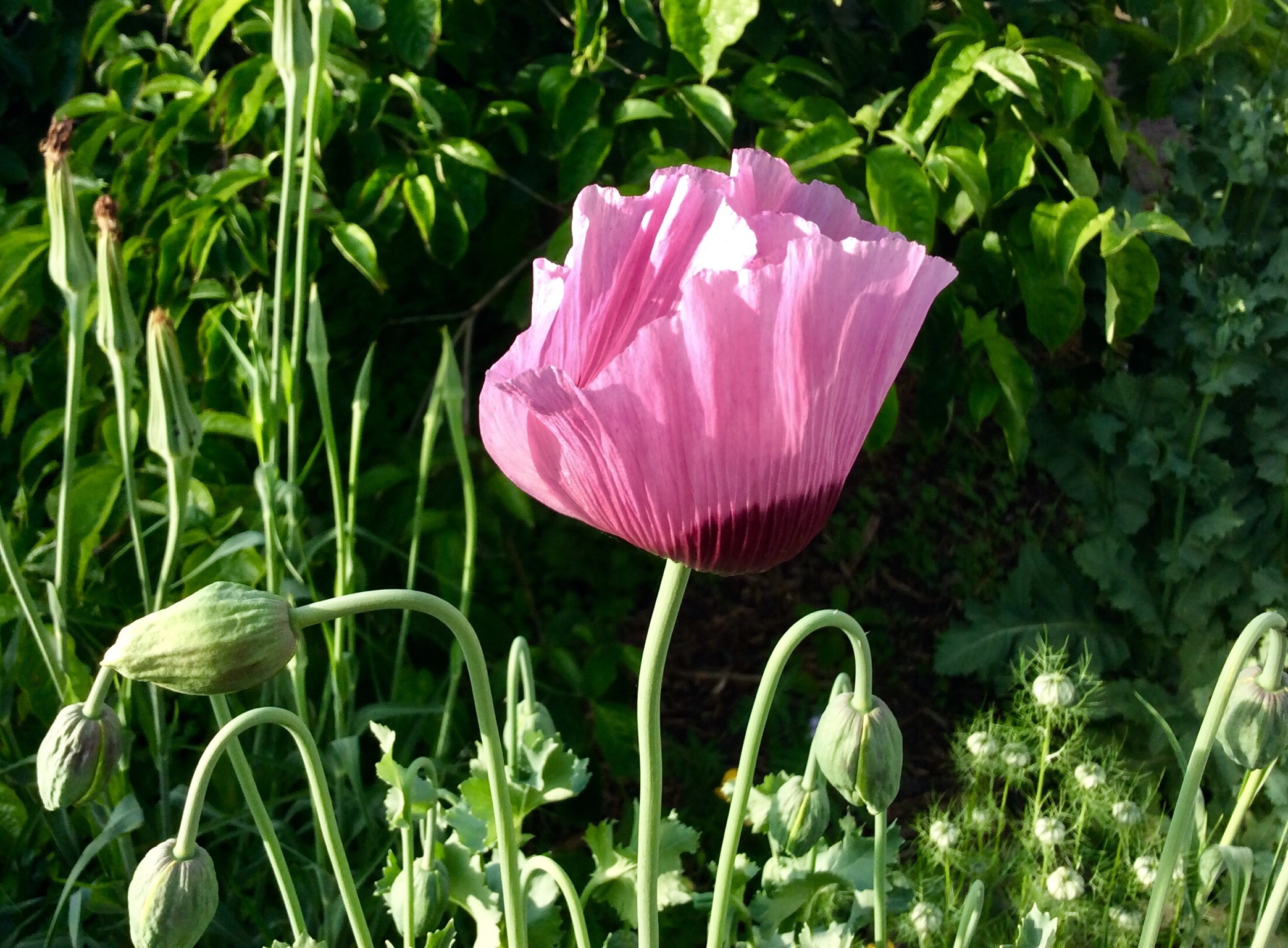 62920DB7-6DE9-4893-8C7B-62117EC3DF91