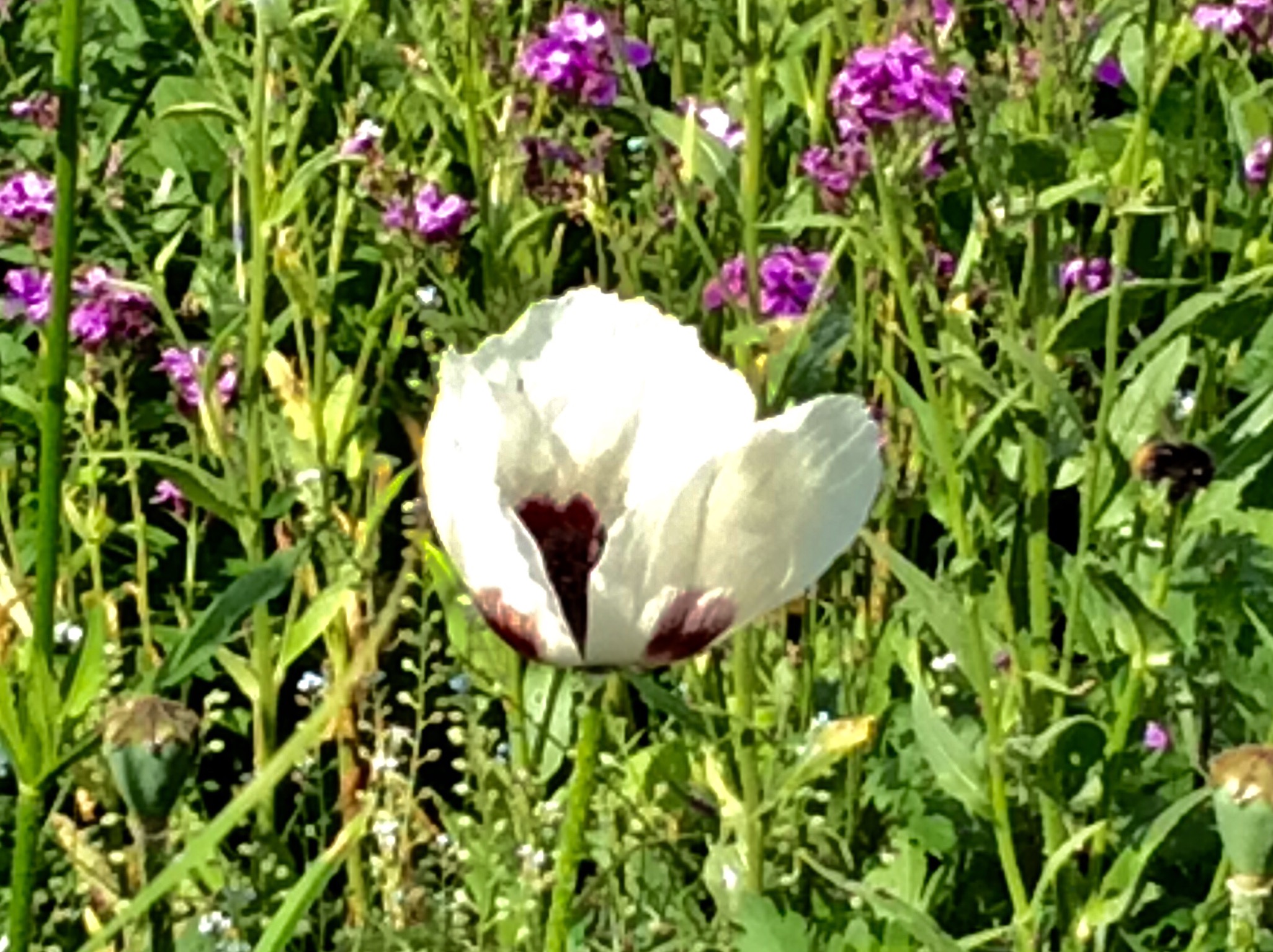 704BC4AF-0AD4-44D0-AF6F-9CB0CC414618