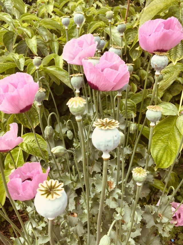 9BBC4A9E-0E5E-4DA8-AB9D-17E49C147756