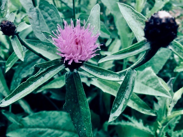 B90CA065-78A6-461D-96E6-72B4E8853A7A