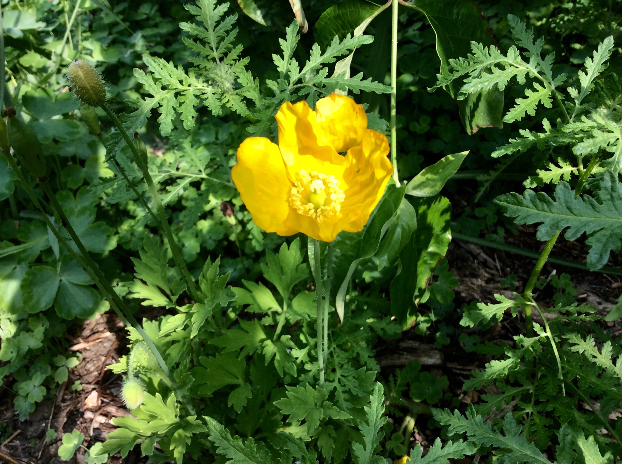 BF1B6434-A9FE-455E-B198-F84068C36EAB