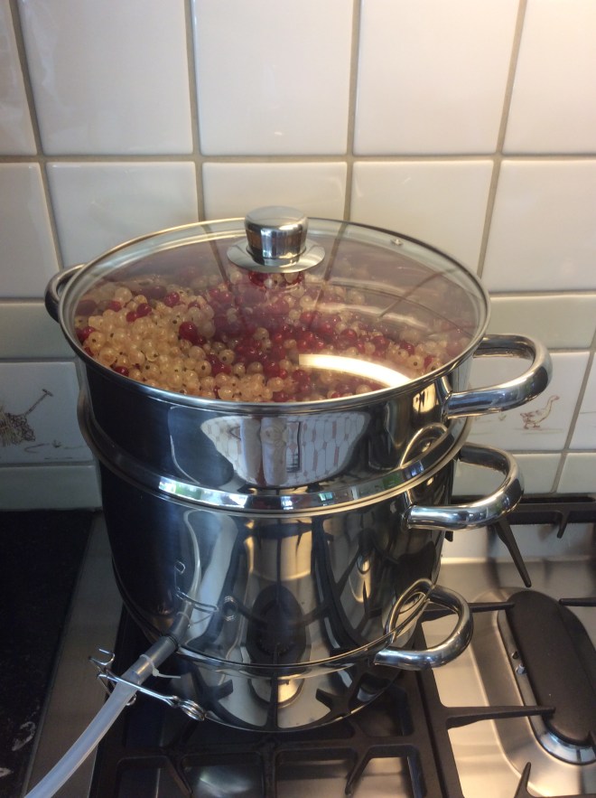 E15940B0-3144-4142-9180-C4741B43759C