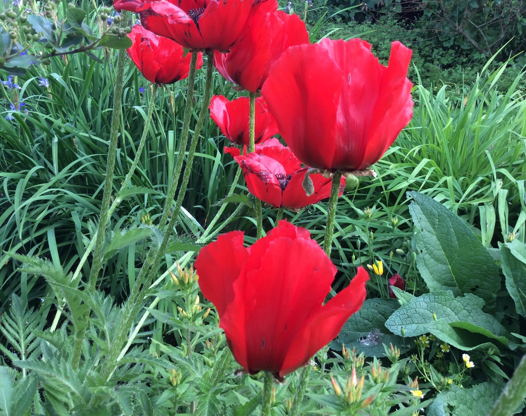 FF18C52D-D01B-4D36-A430-59E4E21EC017