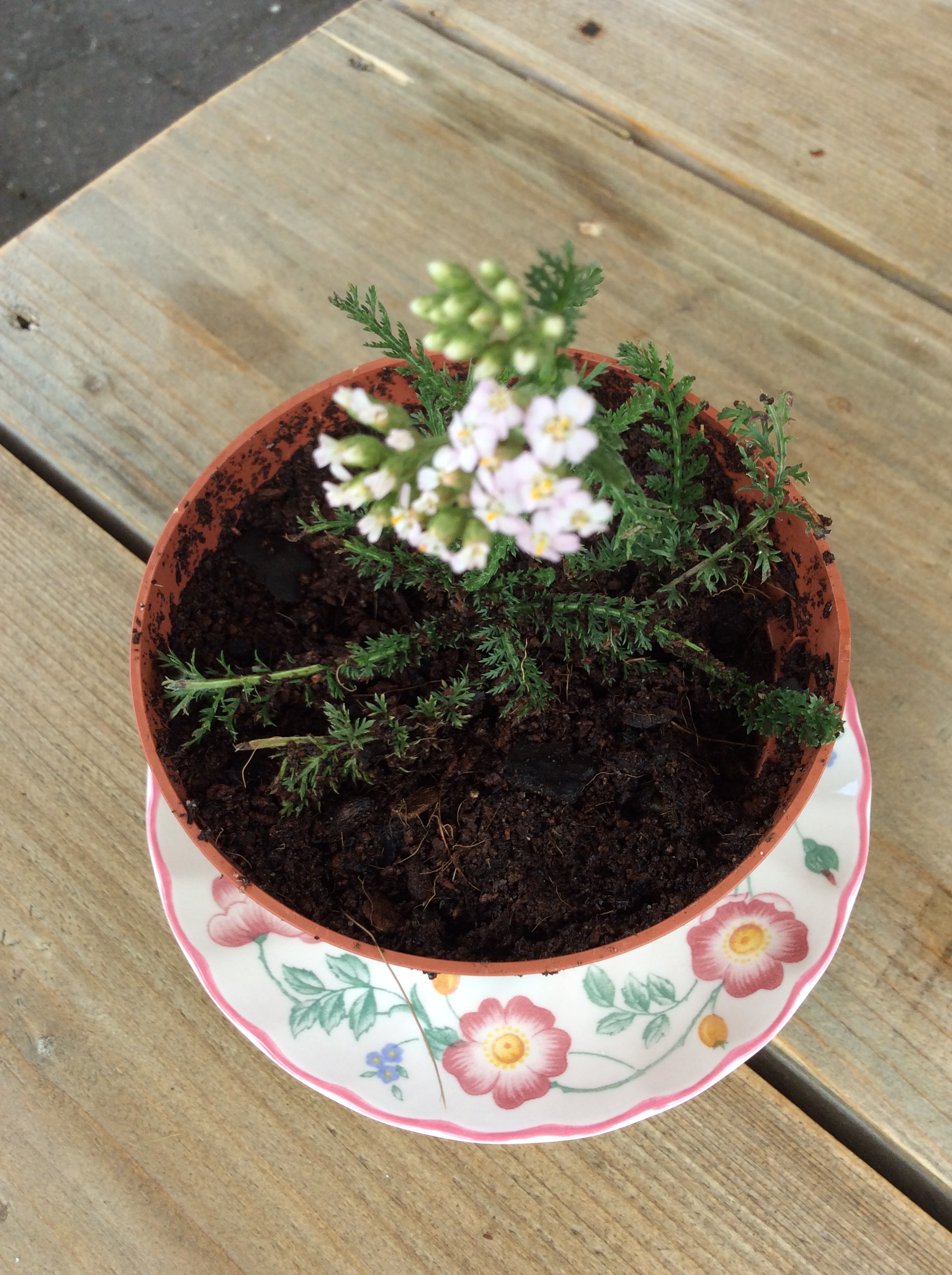 1A3EF874-9E41-4CDF-B577-00E6B65E6CCC