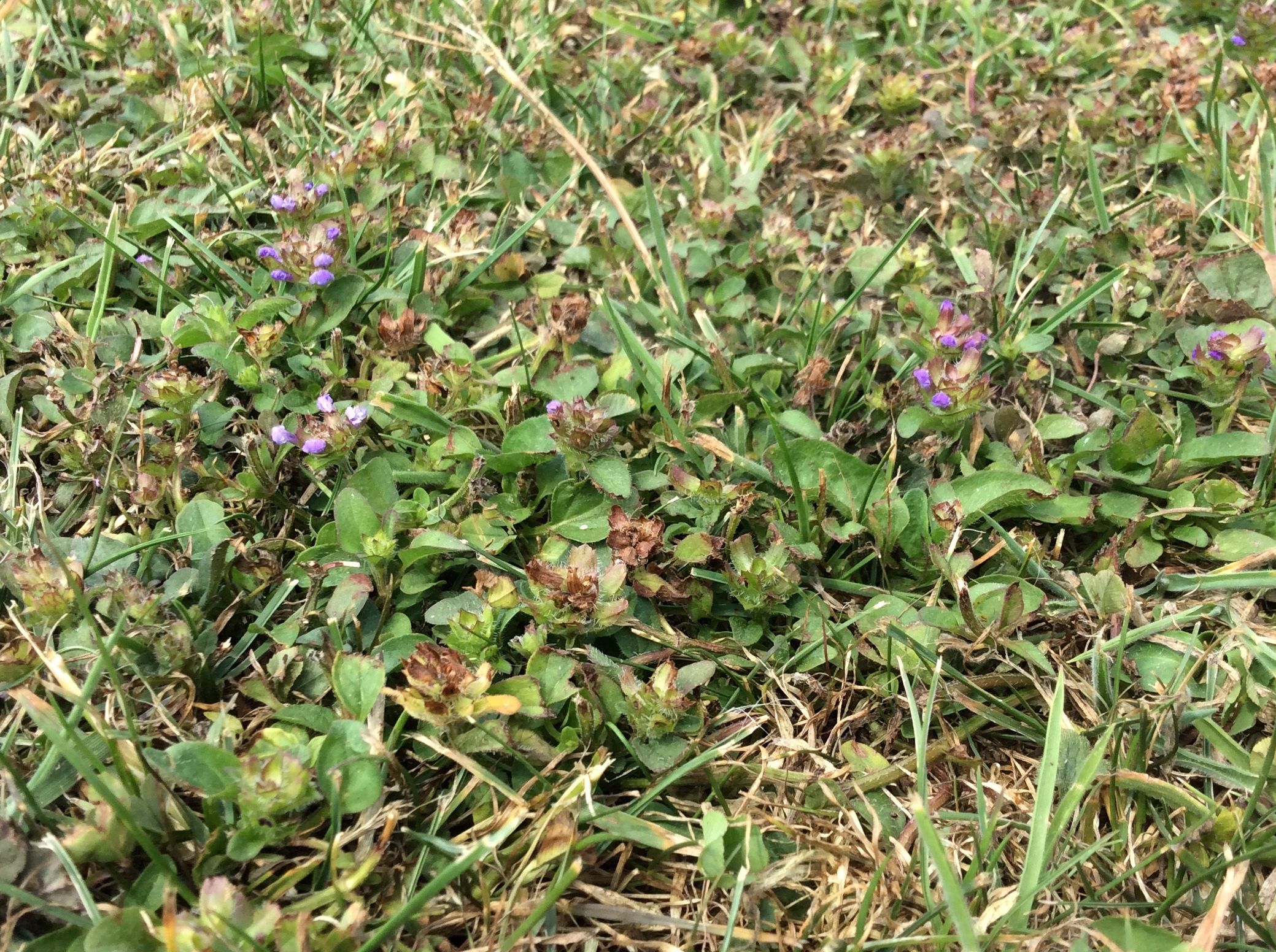 4AC974EA-1768-47B5-B48E-2539DBC72FE2