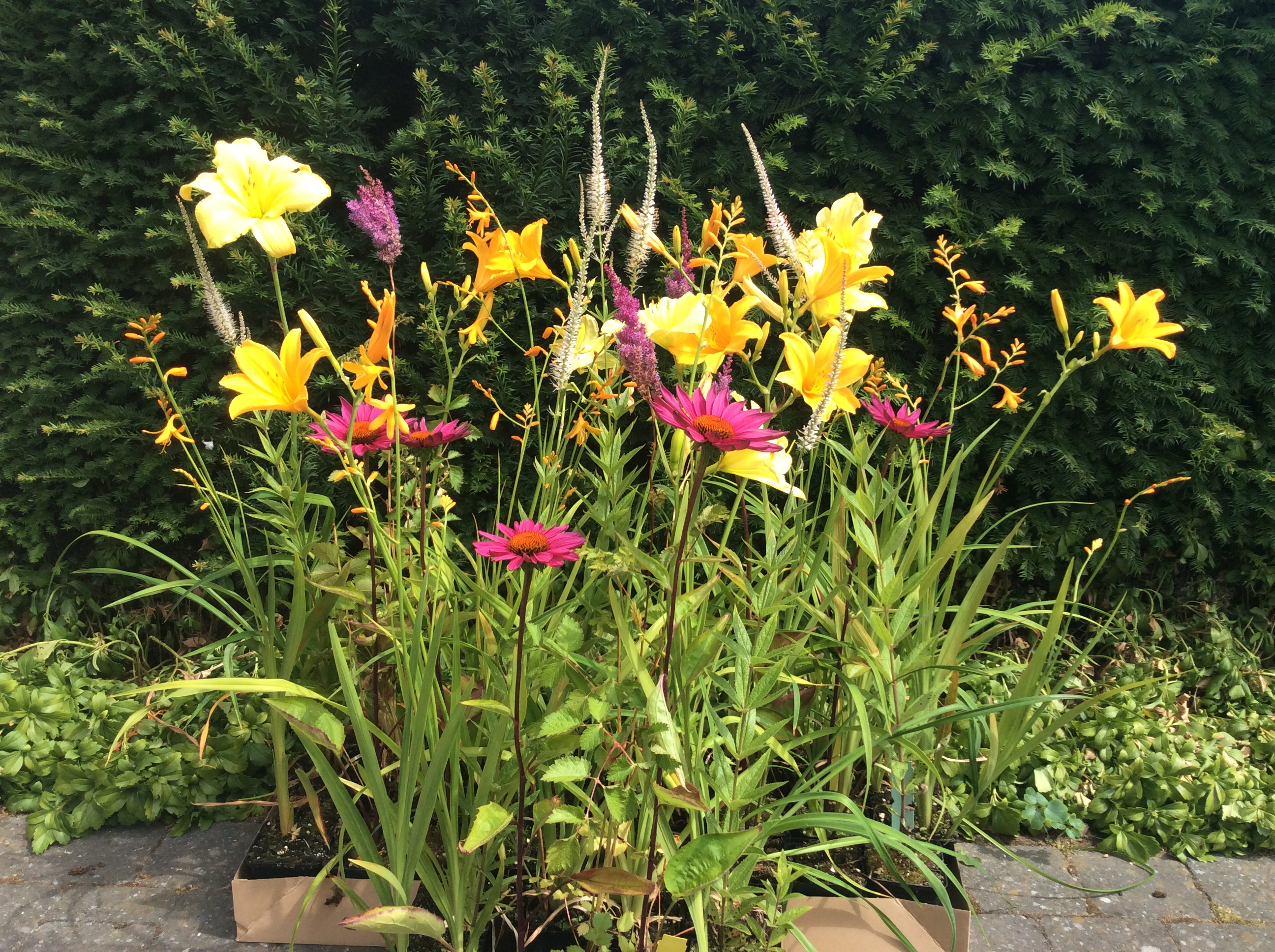 51EE865D-5D67-43E1-9732-070F745C286C