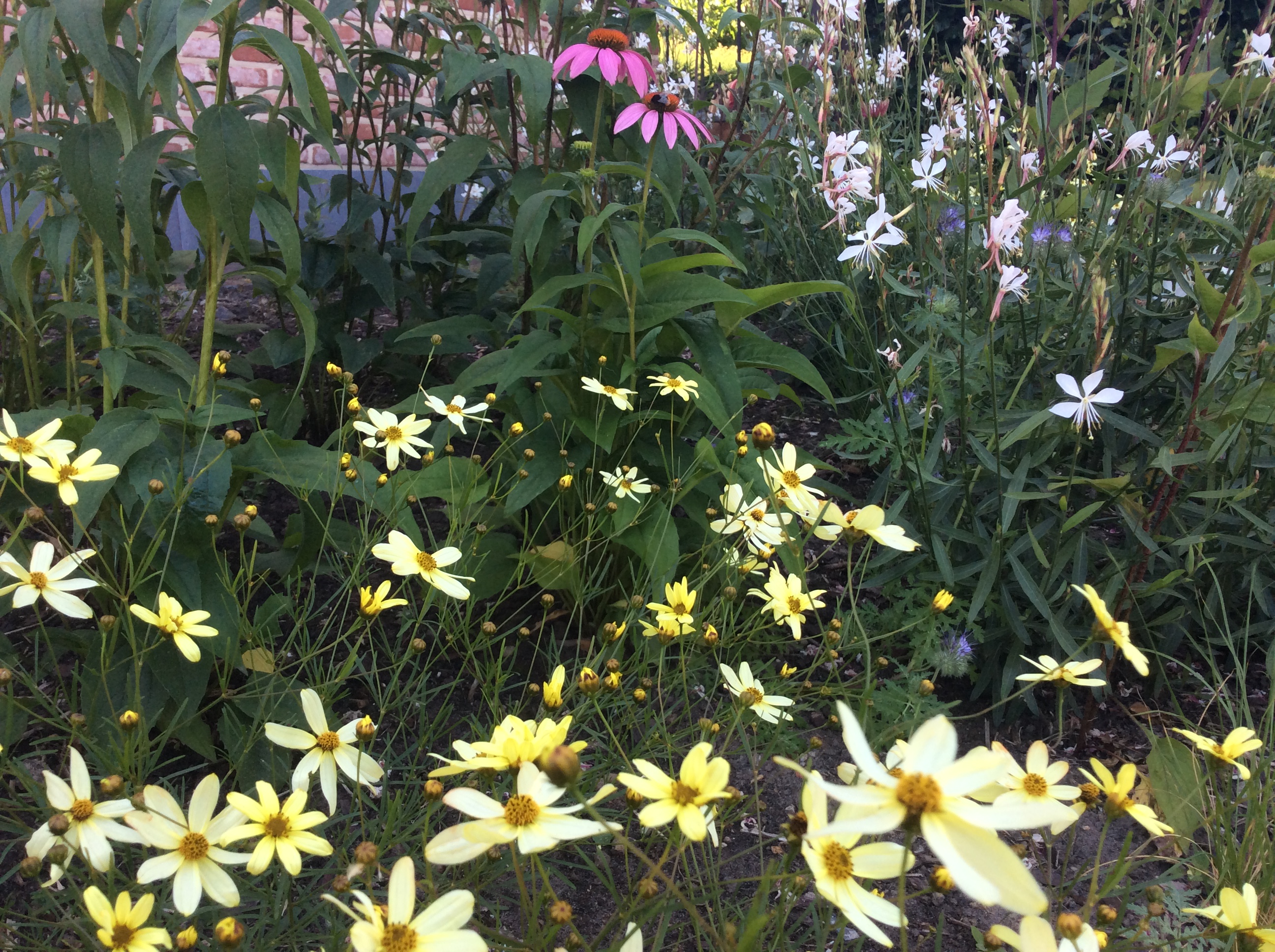 67787941-6F87-47DF-9775-F8AFC31488E1