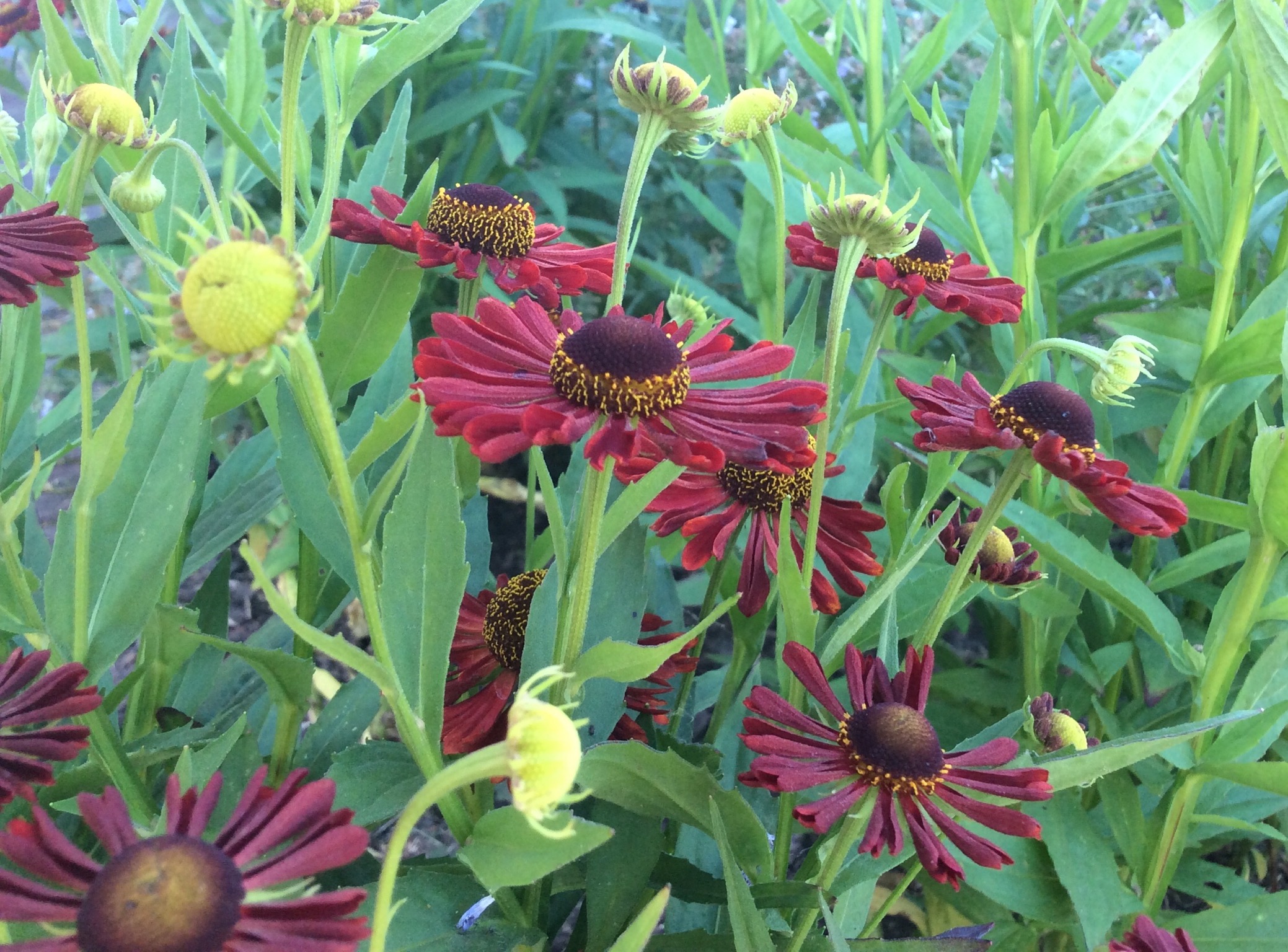 778AE0AD-AA83-49D8-AE91-0A9F4635B5DE