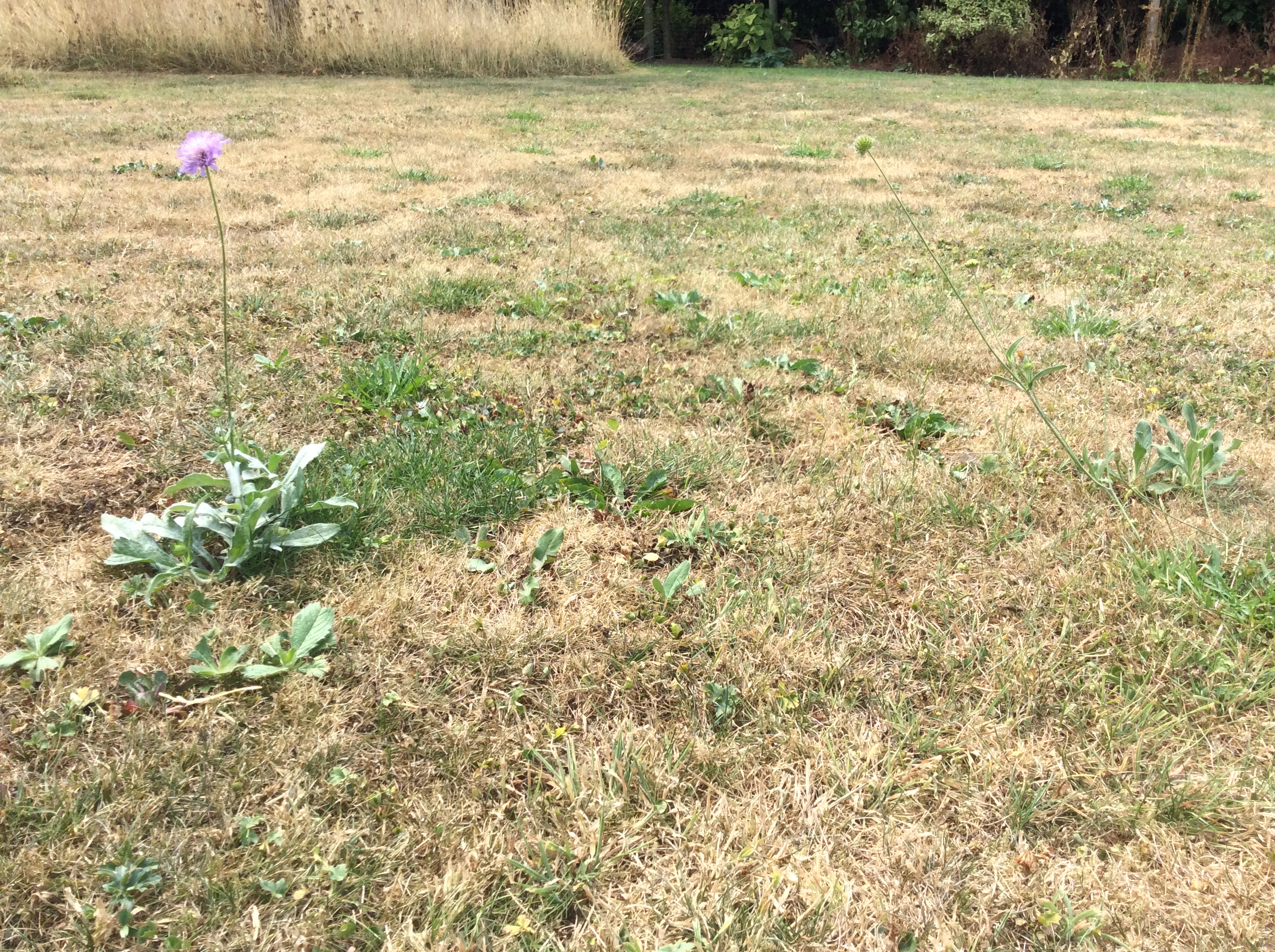 9463B2A5-327B-43D2-9B65-F37D7569E531