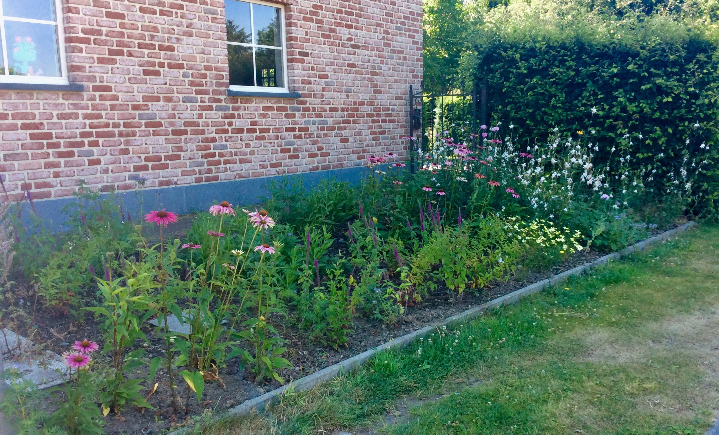 9C567F9E-2E34-4608-A990-5672A39D3F74